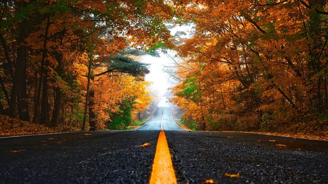 Осінь настала: красиві картинки на робочий стіл ПК і заставки для телефона - фото 426695