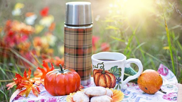 Осінь настала: красиві картинки на робочий стіл ПК і заставки для телефона - фото 426696