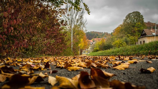 Осінь настала: красиві картинки на робочий стіл ПК і заставки для телефона - фото 426701