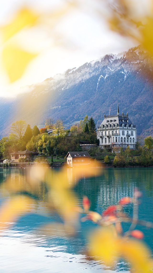 Осінь настала: красиві картинки на робочий стіл ПК і заставки для телефона - фото 426715