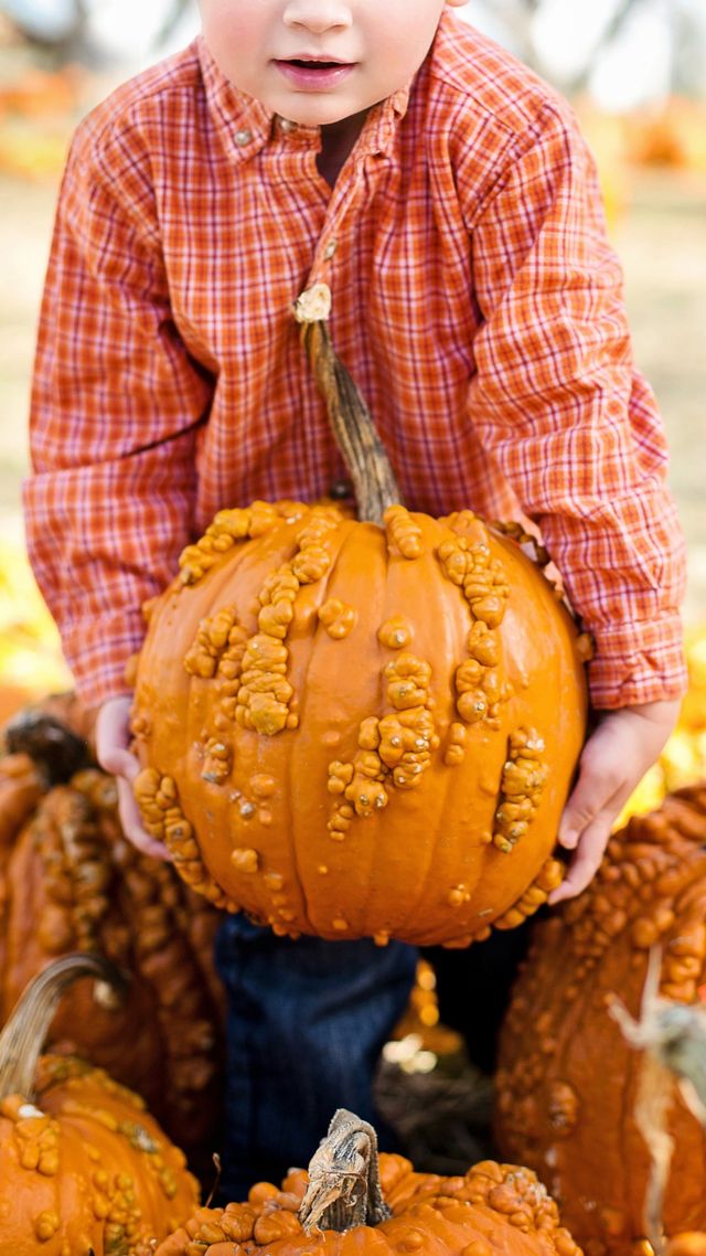 Осінь настала: красиві картинки на робочий стіл ПК і заставки для телефона - фото 426716