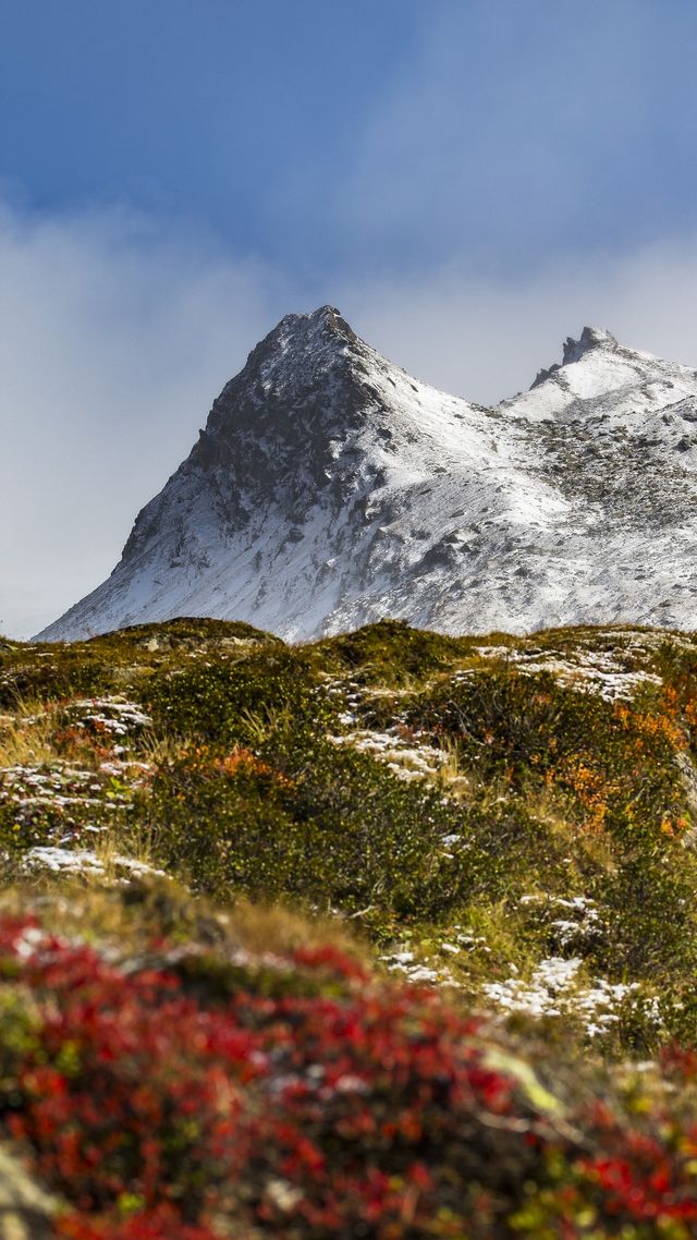 Осінь настала: красиві картинки на робочий стіл ПК і заставки для телефона - фото 426718