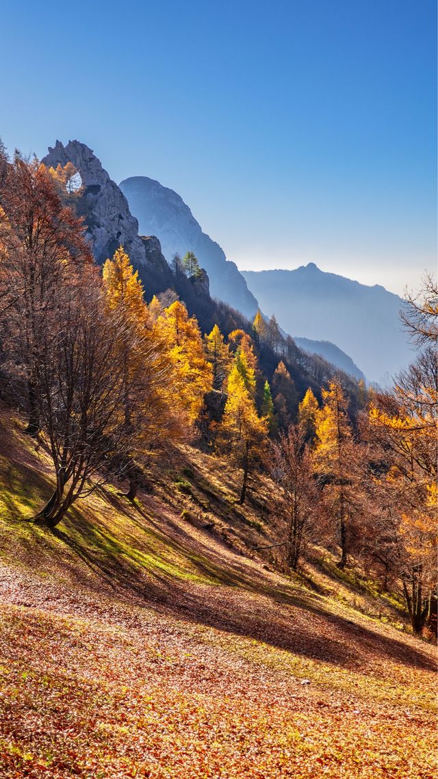 Осінь настала: красиві картинки на робочий стіл ПК і заставки для телефона - фото 426721