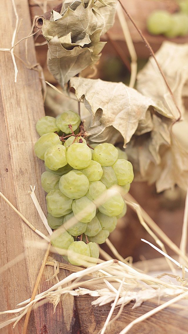 Осінь настала: красиві картинки на робочий стіл ПК і заставки для телефона - фото 426722