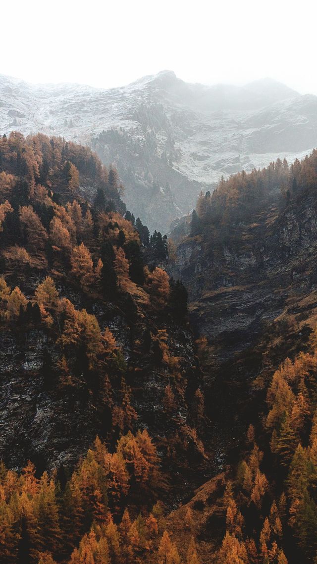 Осінь настала: красиві картинки на робочий стіл ПК і заставки для телефона - фото 426725