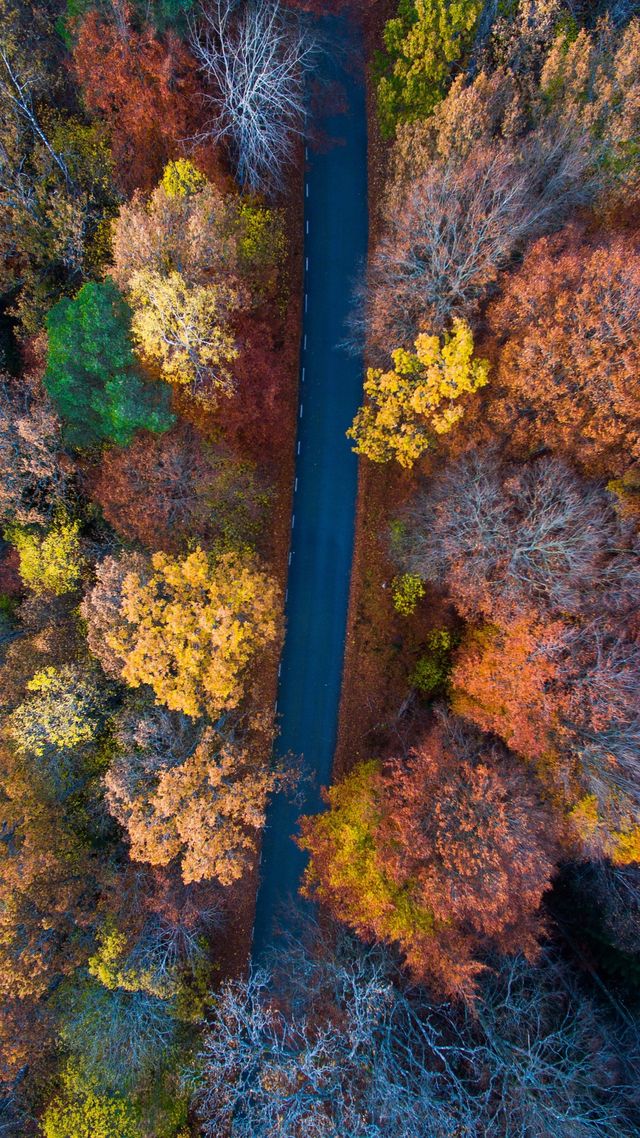 Осінь настала: красиві картинки на робочий стіл ПК і заставки для телефона - фото 426728