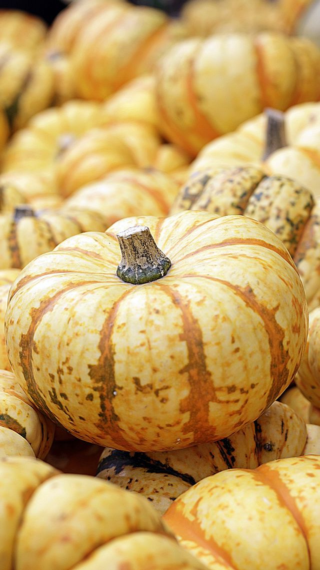 Осінь настала: красиві картинки на робочий стіл ПК і заставки для телефона - фото 426730