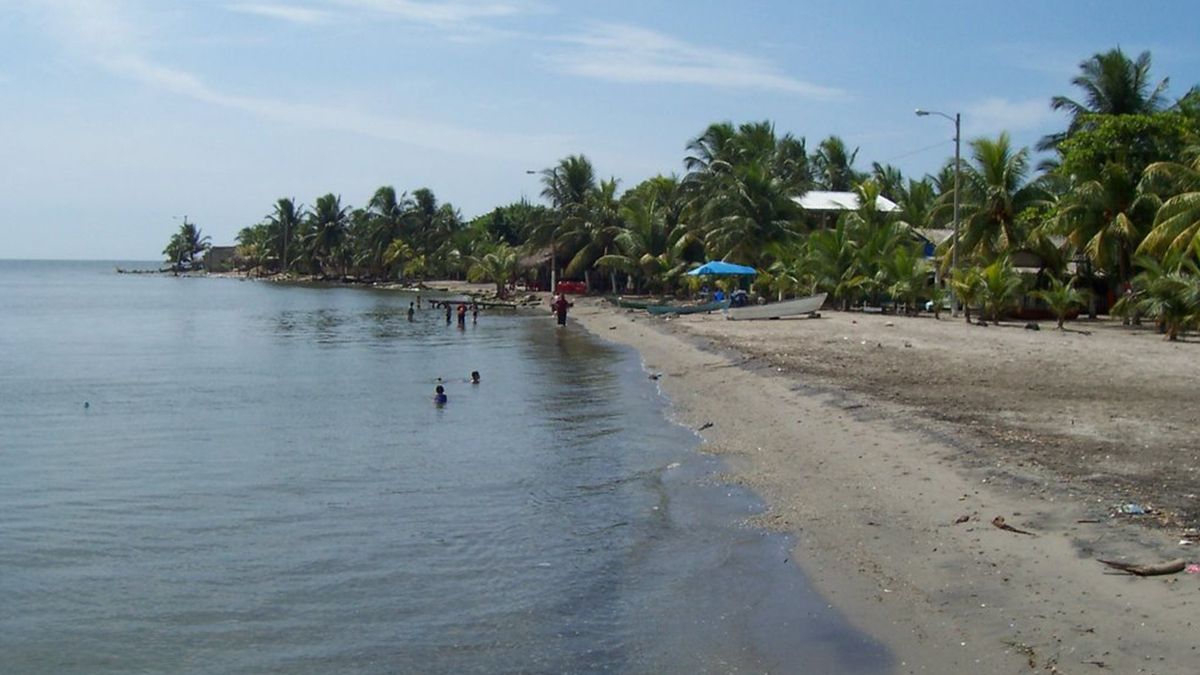 Цунамі перетворило ідеальний тропічний пляж на величезне сміттєзвалище: відео - фото 1