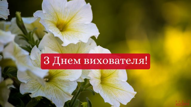 Вірші з Днем вихователя 2021: гарні привітання від дітей у віршах - фото 426944