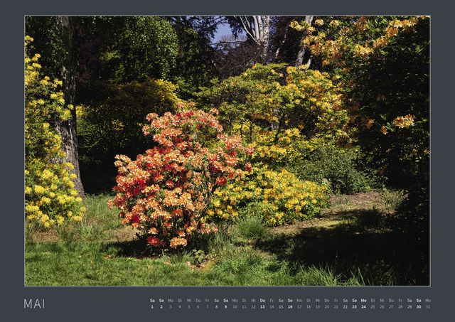 Знайди голих дівчат на фото: пікантні оптичні ілюзії (18+) - фото 427054