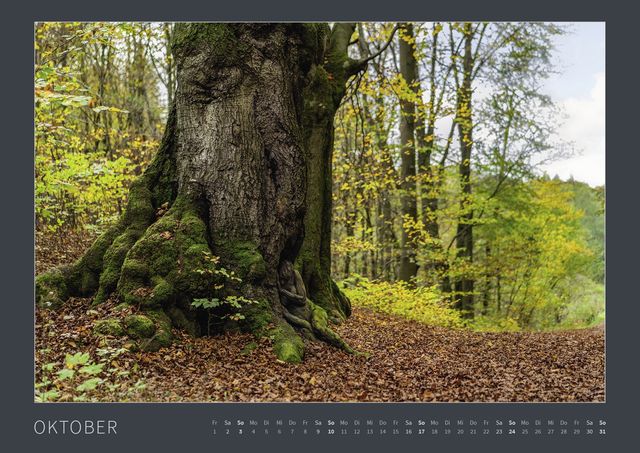 Знайди голих дівчат на фото: пікантні оптичні ілюзії (18+) - фото 427057