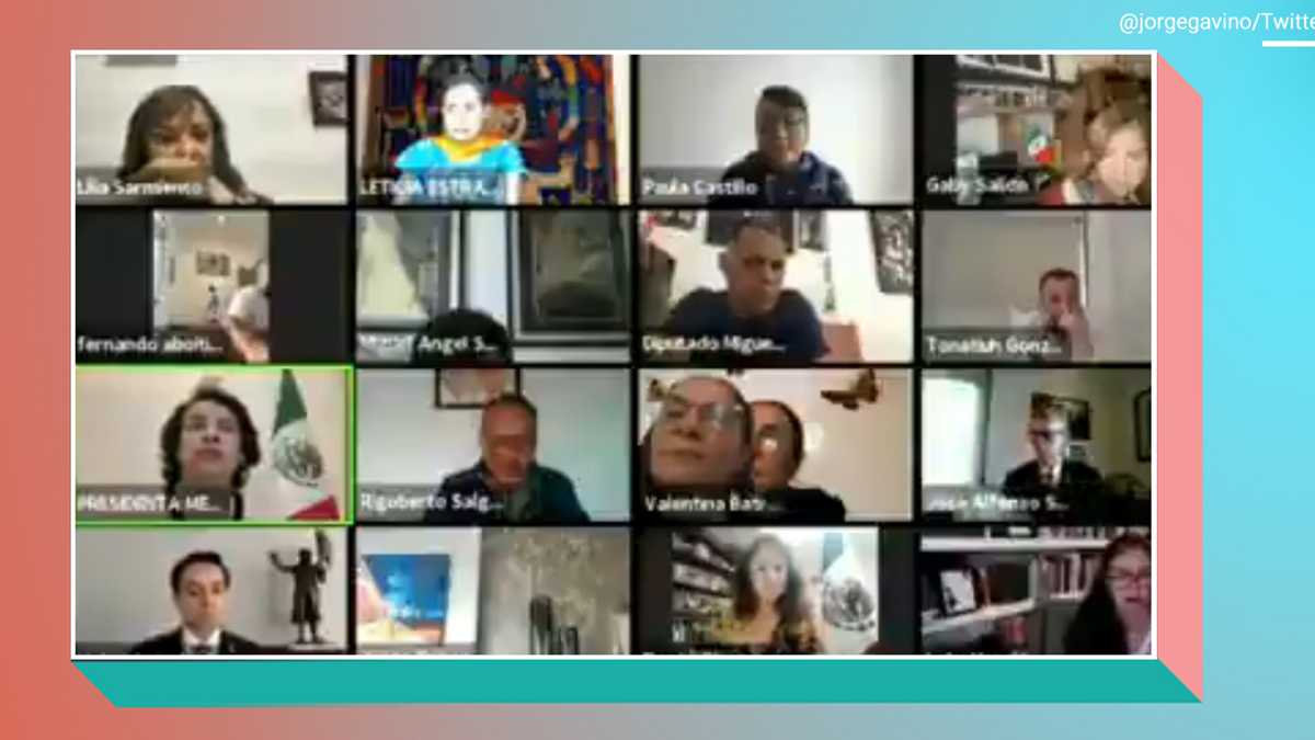 Політик під час конференції в Zoom поставила перед камерою своє фото: епічне відео