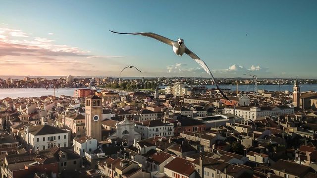 Дивіться фото переможців фотоконкурсу Drone Photo Awards 2020 - фото 427535