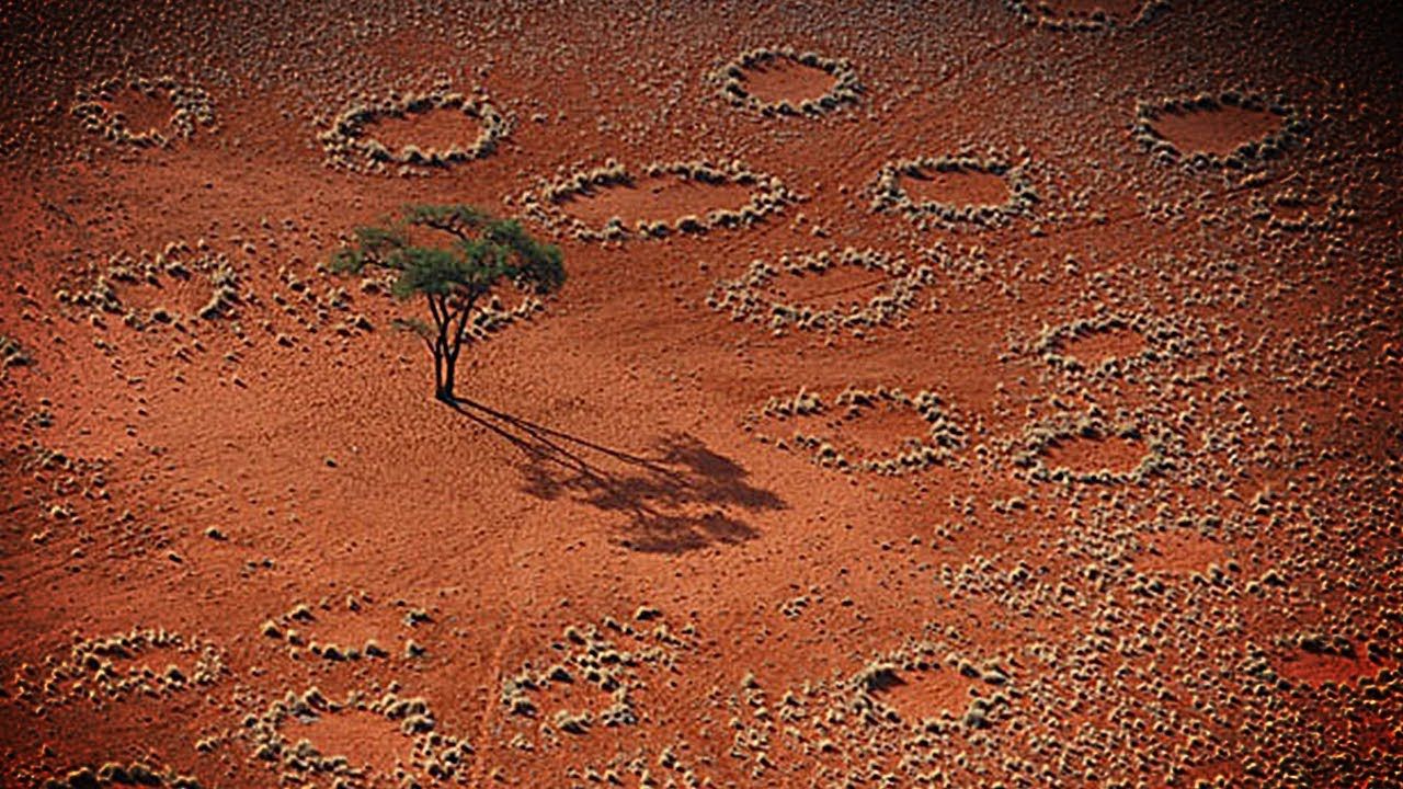 Відьомські кола в Африці - фото 1
