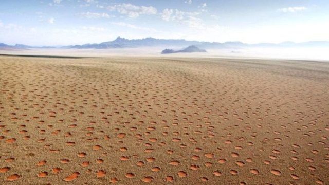 Науковці знайшли пояснення появи 'відьомських' кіл в Африці та Австралії: фотофакт - фото 427567