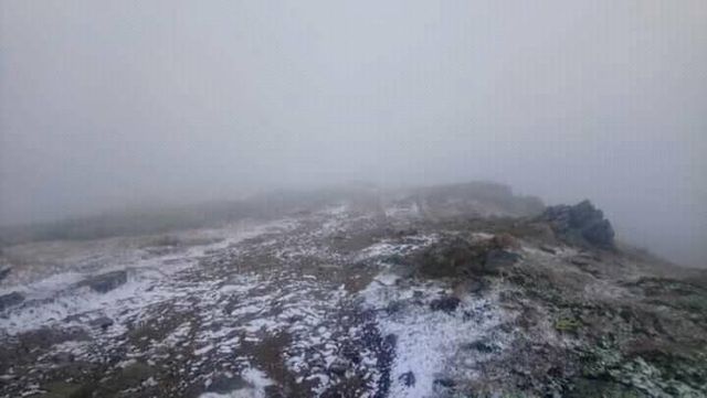 У Карпатах випав перший сніг: фотофакт - фото 427622