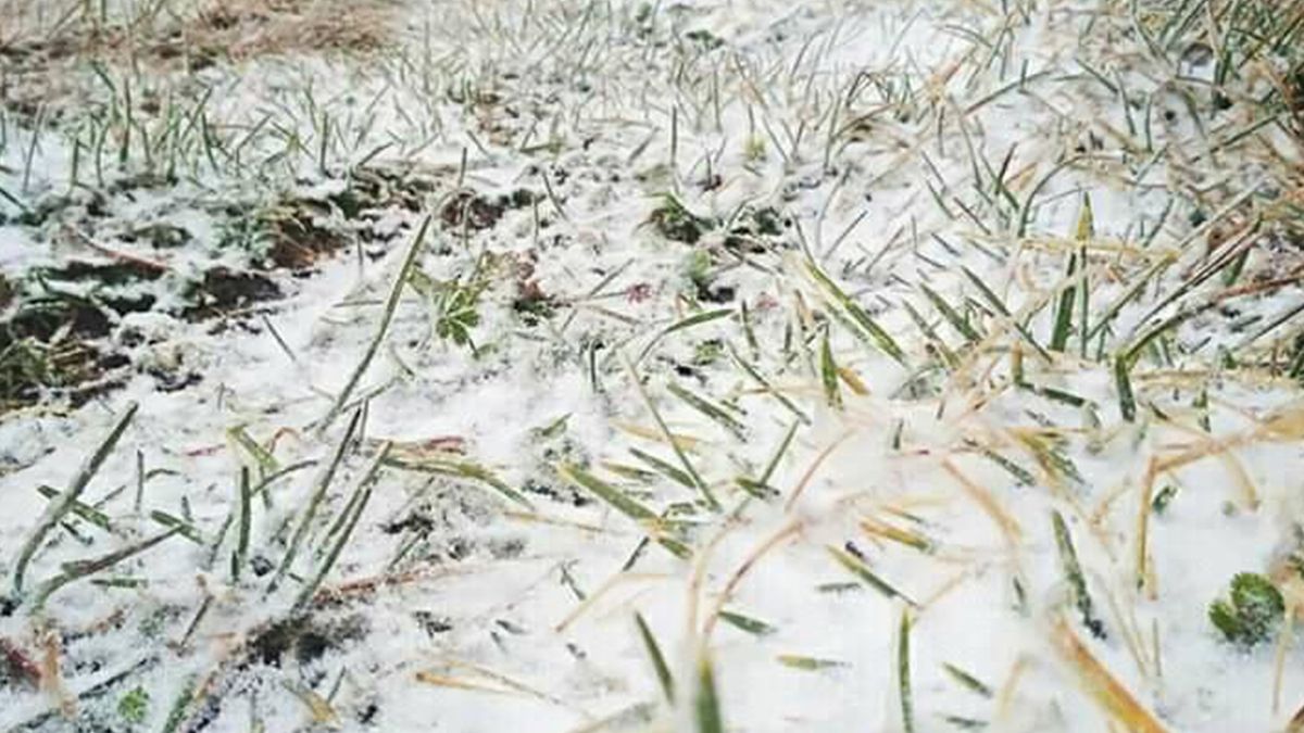 У Карпатах випав перший сніг: фотофакт