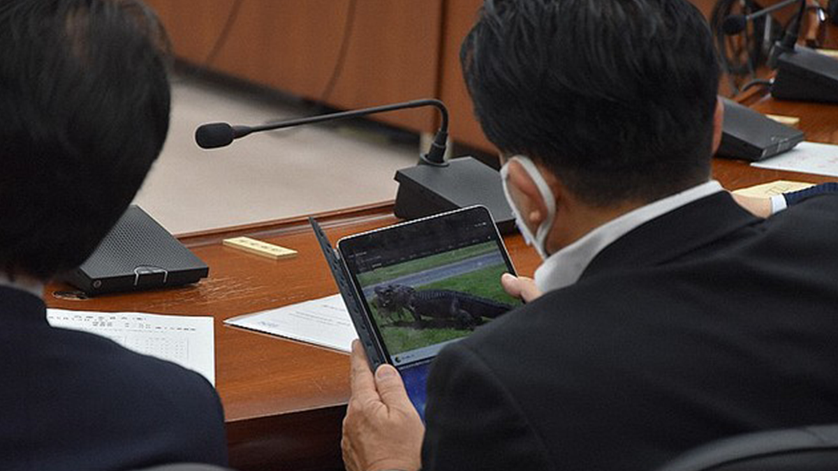 Депутат дивився відео про крокодила, поки у парламенті обговорювали важливі питання