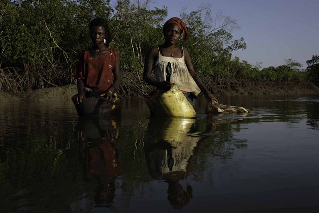 Унікальне місце на Землі: як виглядають мангрові ліси з багатим підводним світом - фото 427643