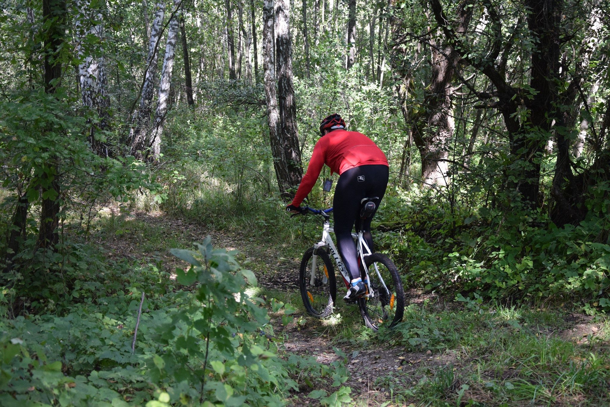 У Чорнобильській зоні з'явився перший веломаршрут