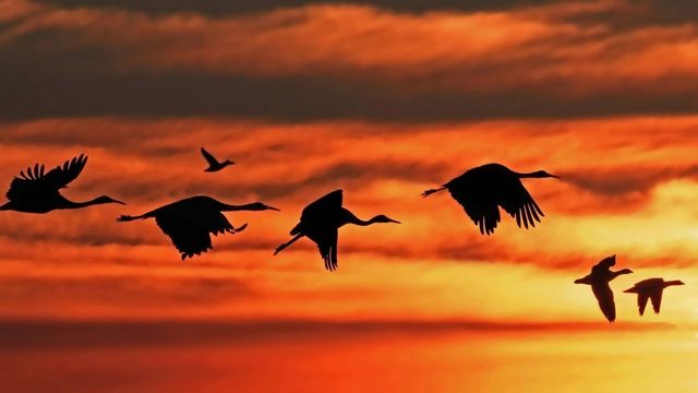 16 жовтня 2020 – яке сьогодні свято: традиції, заборони і прикмети - фото 428167