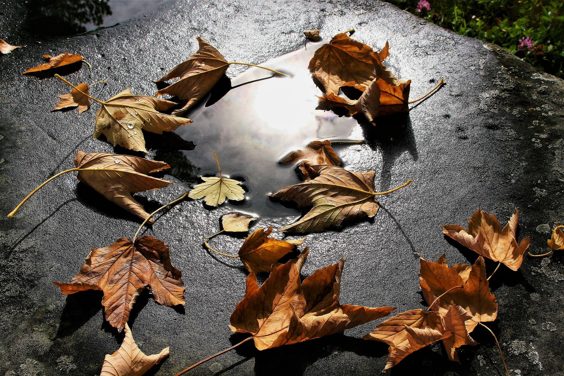 Погода в Україні 1 жовтня: точний прогноз по містах