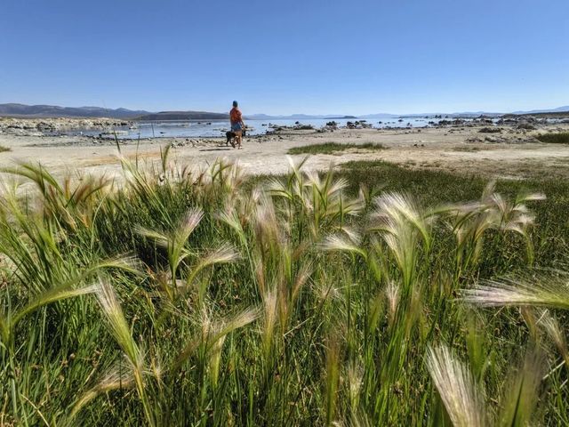 Google показала, на що здатні камери Pixel 5: мобільним фотографам сподобається - фото 428279