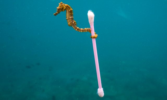 В Англії заборонили пластикові соломинки і ватяні палички - фото 428373