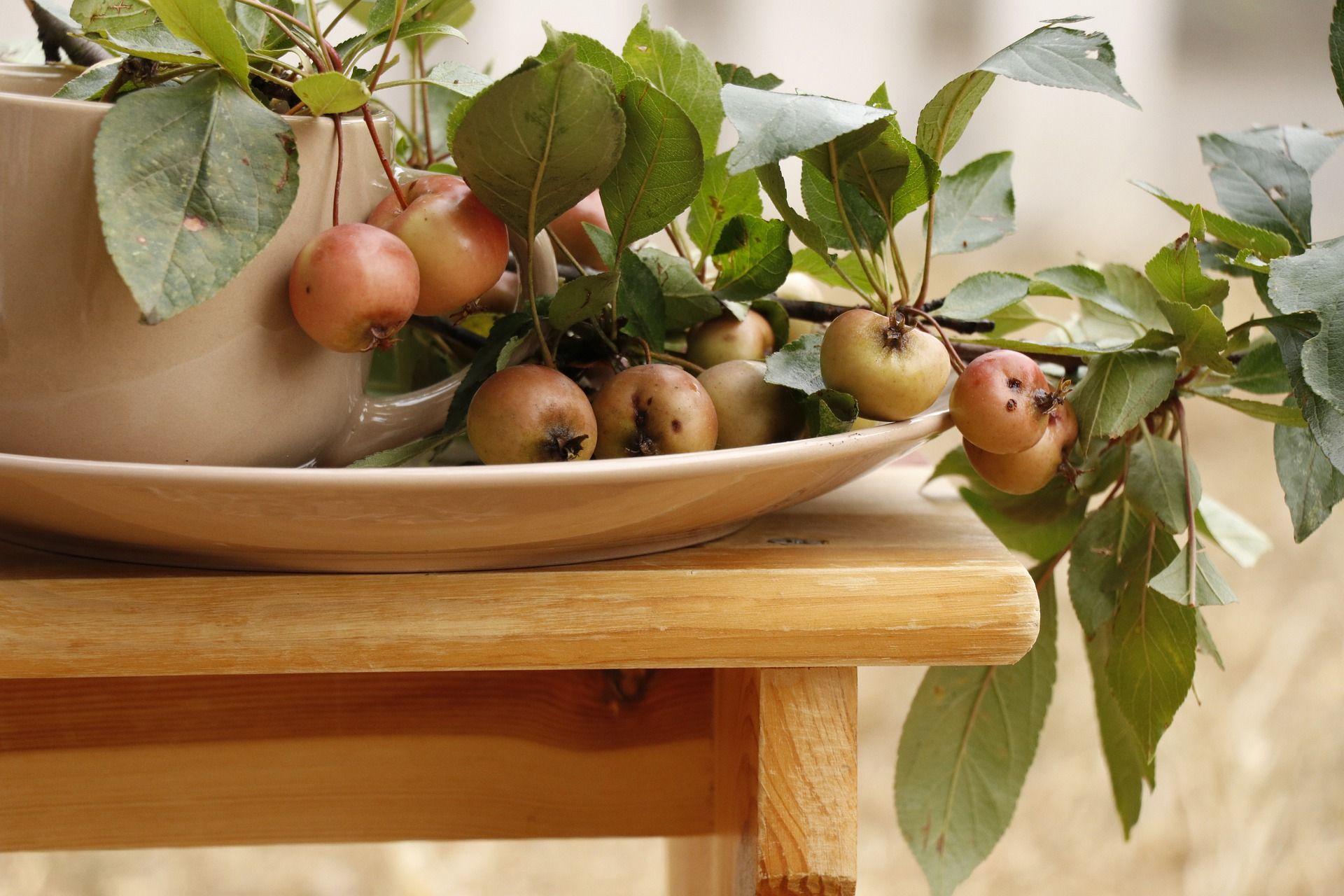 Погода в Україні 5 жовтня: точний прогноз на понеділок