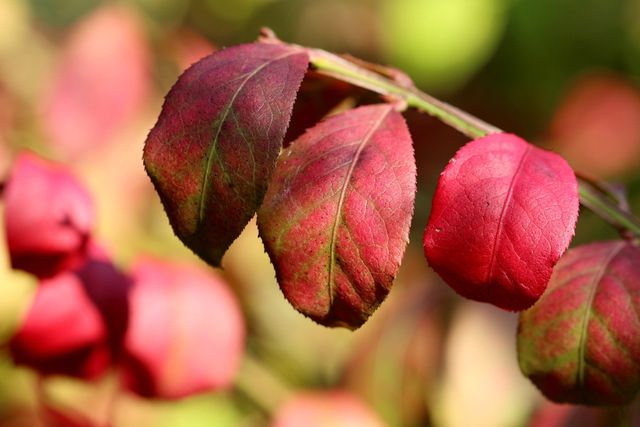 6 жовтня 2020 – яке сьогодні свято: традиції, заборони і прикмети - фото 428801