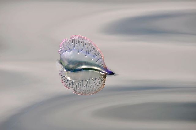 British Wildlife Photography Awards: вибрано 15 найкращих фотографій тварин за десятиліття - фото 428882