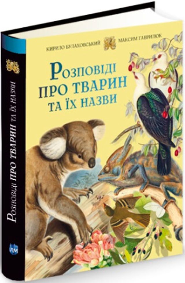 Чаклуни в ательє та інші капосні історії: 5 нових книг, які розважать у сімейному колі - фото 429259