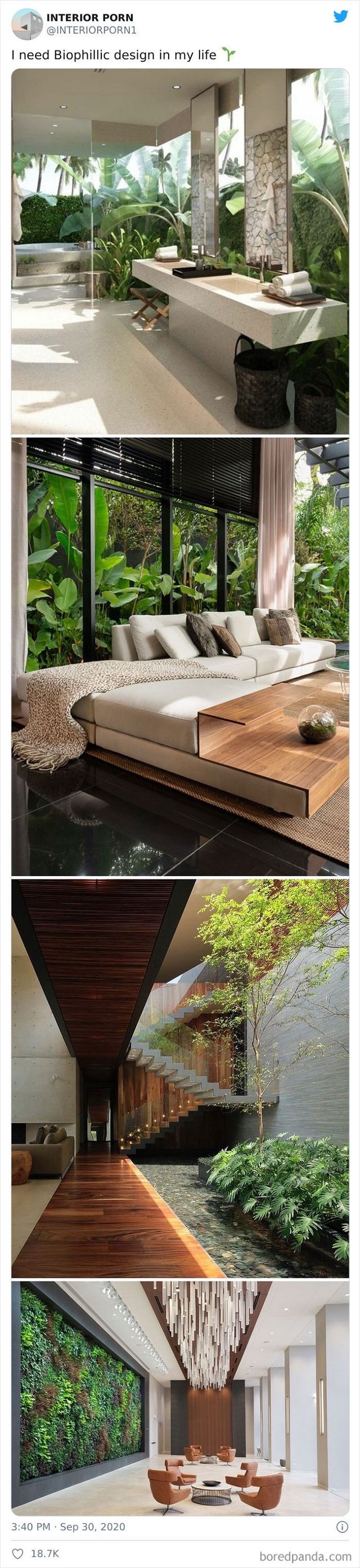 INTERIORPORN1 - фото 429284