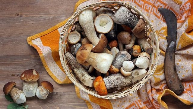 Гриби на зиму: як замаринувати підберезовики - фото 429620