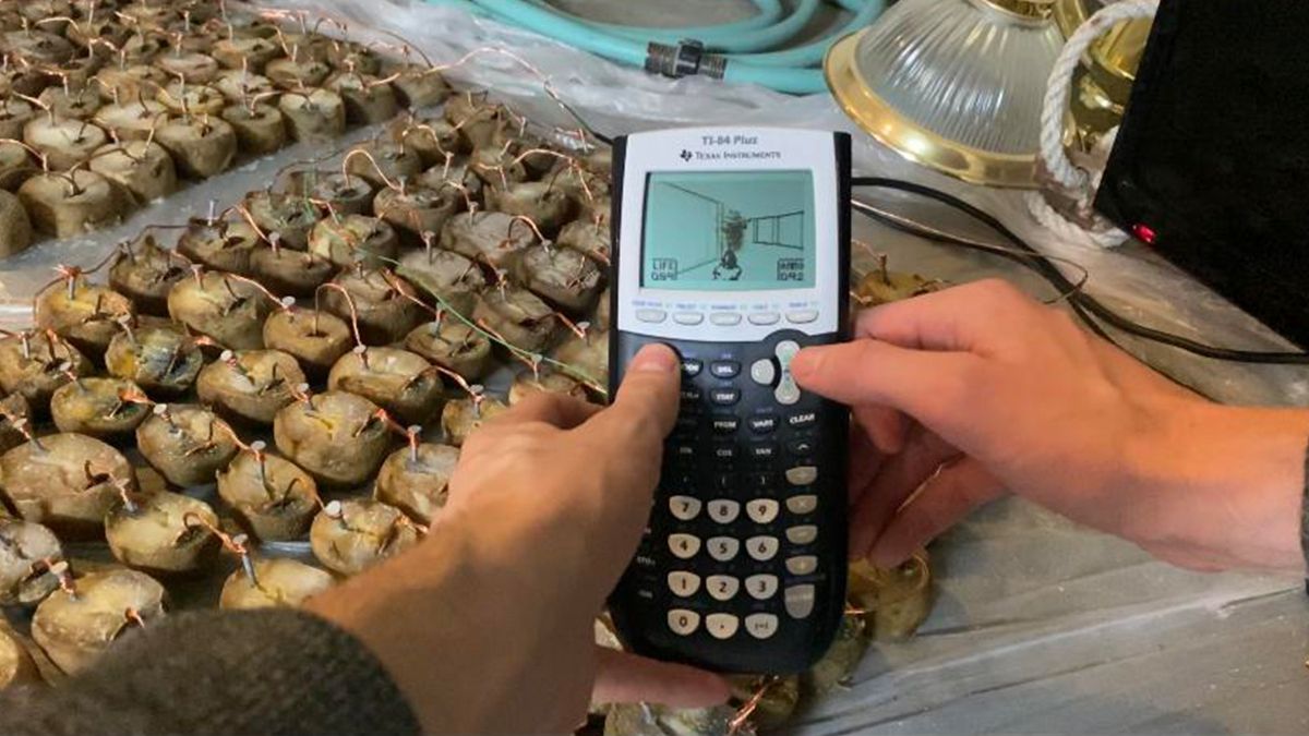 Блогер зіграв у DOOM на калькуляторі - фото 1