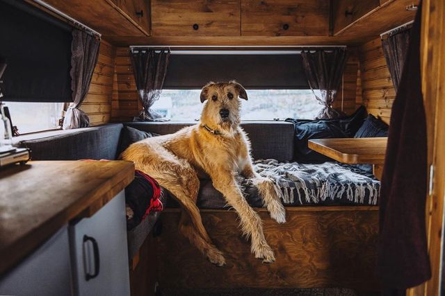 Старенький Mercedes-Benz перетворили в атмосферний будинок на колесах - фото 430001