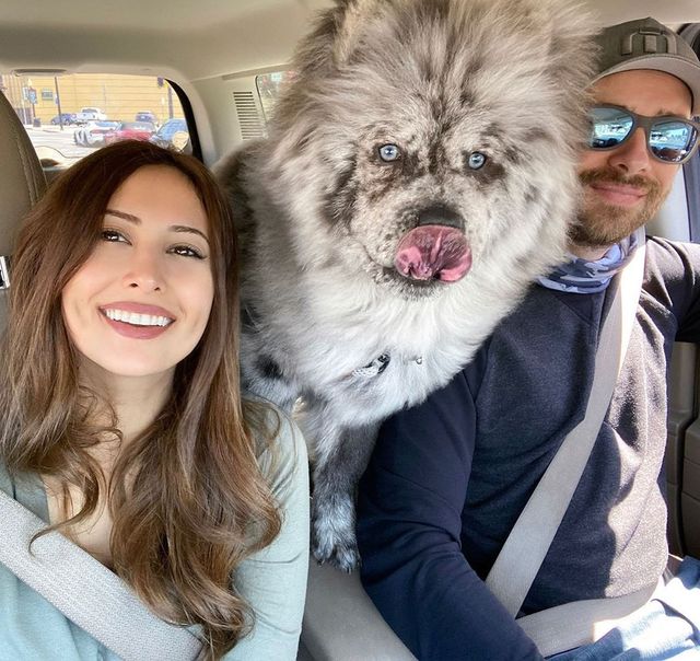 Незвичайний пес породи чау-чау став зіркою в Instagram: фото - фото 430019