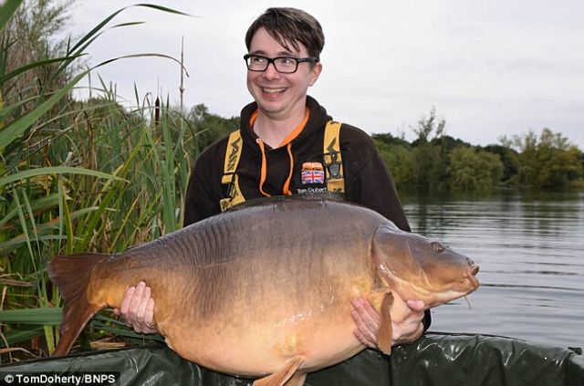 Рибалка упіймав найбільшого коропа у Великобританії: фотофакт - фото 430367