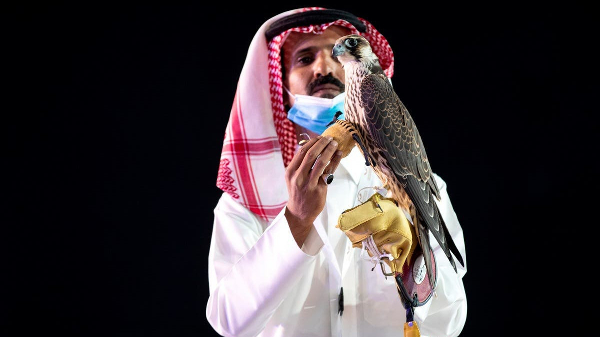 У Саудівській Аравії сокола продали за рекордну суму - фото 1