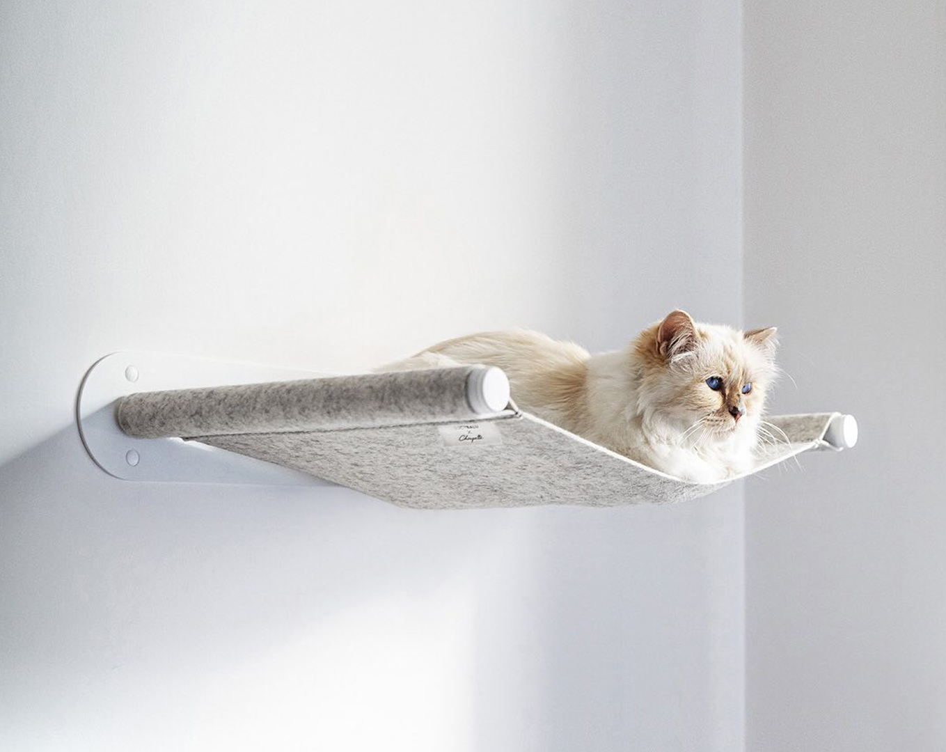 Гамак для котів буде продаватися обмеженим тиражем - фото 1