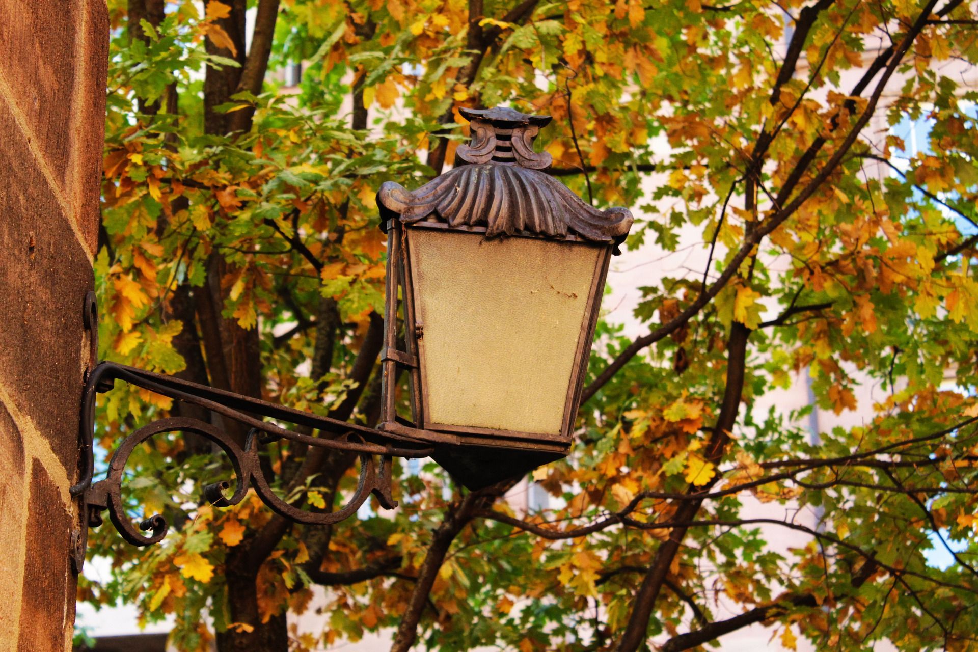 Погода в Україні 19 жовтня: точний прогноз на понеділок