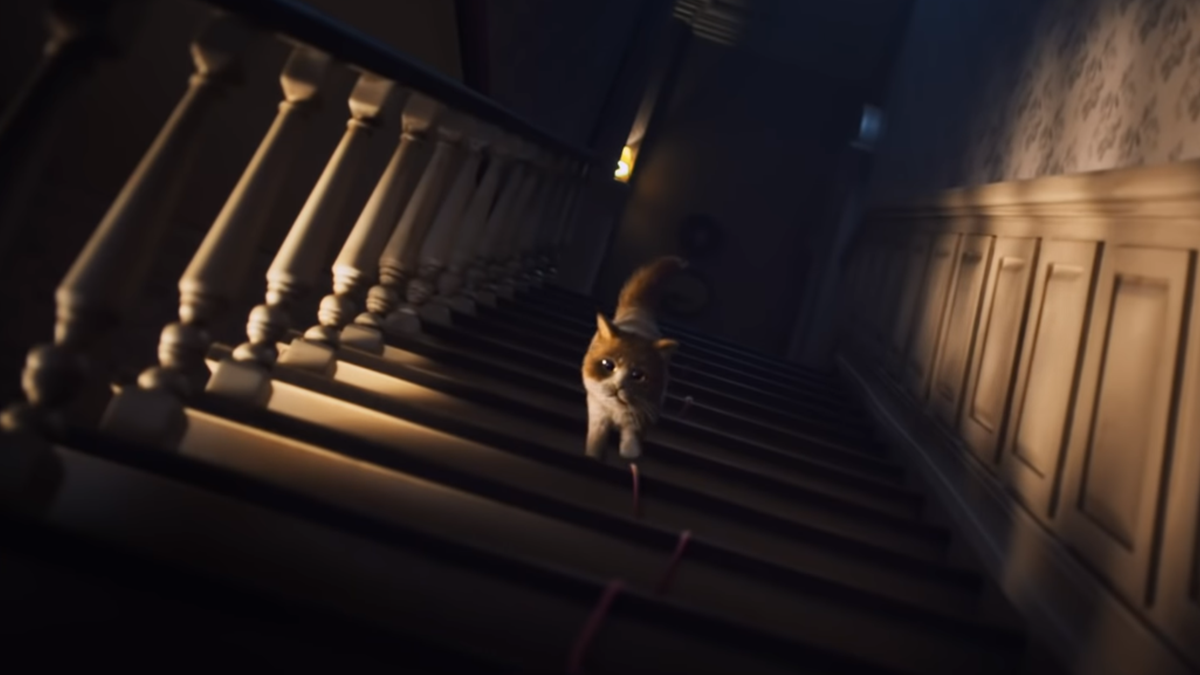 Вийшов перший фільм жахів для кішок: відео