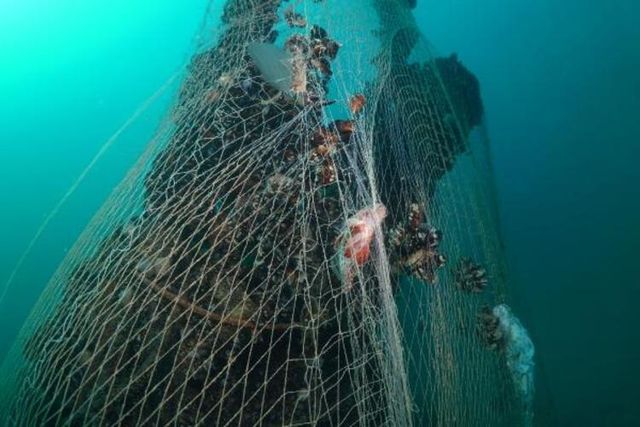 У Туреччині знайшли підводний човен 'втраченого флоту Гітлера': фото - фото 431075