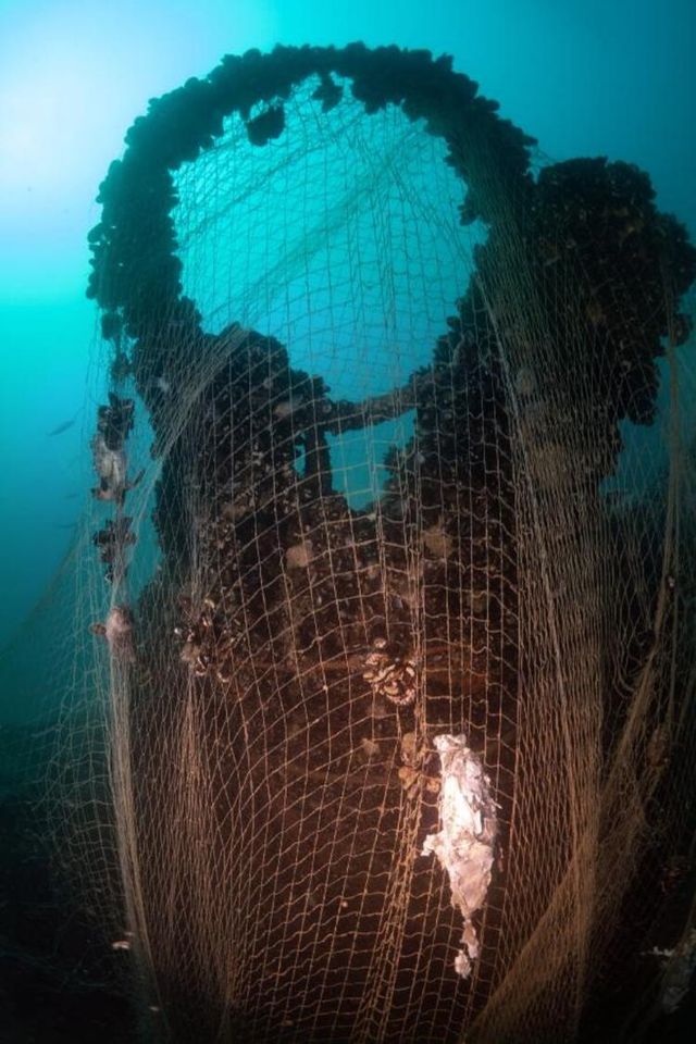 У Туреччині знайшли підводний човен 'втраченого флоту Гітлера': фото - фото 431077