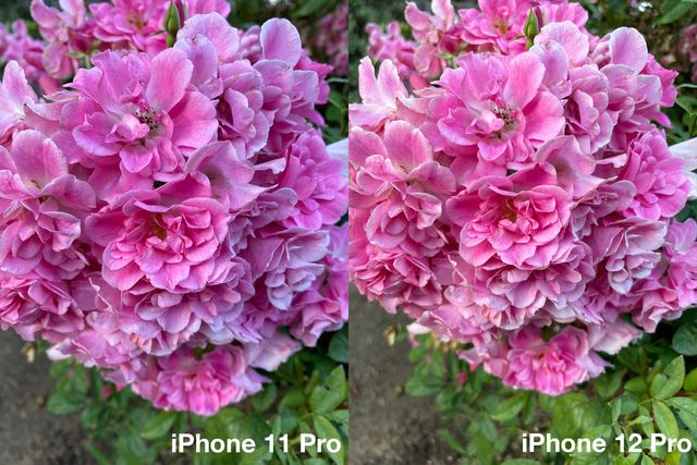 Журналісти порівняли камери iPhone 12 Pro й iPhone 11 Pro: чи варто оновлюватися? - фото 431140