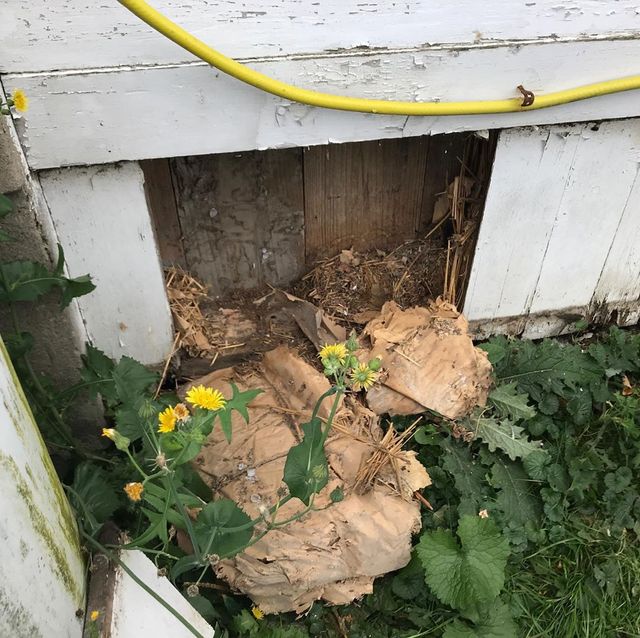 Пара почала ремонт у старому будинку і знайшла там загадкову 100-річну схованку - фото 431220