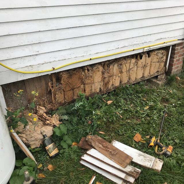 Пара почала ремонт у старому будинку і знайшла там загадкову 100-річну схованку - фото 431222