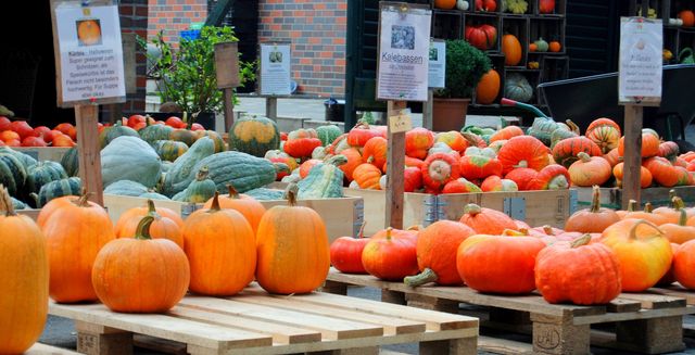 Які знаки Зодіаку втілять свої мрії у реальність в листопаді - фото 431408