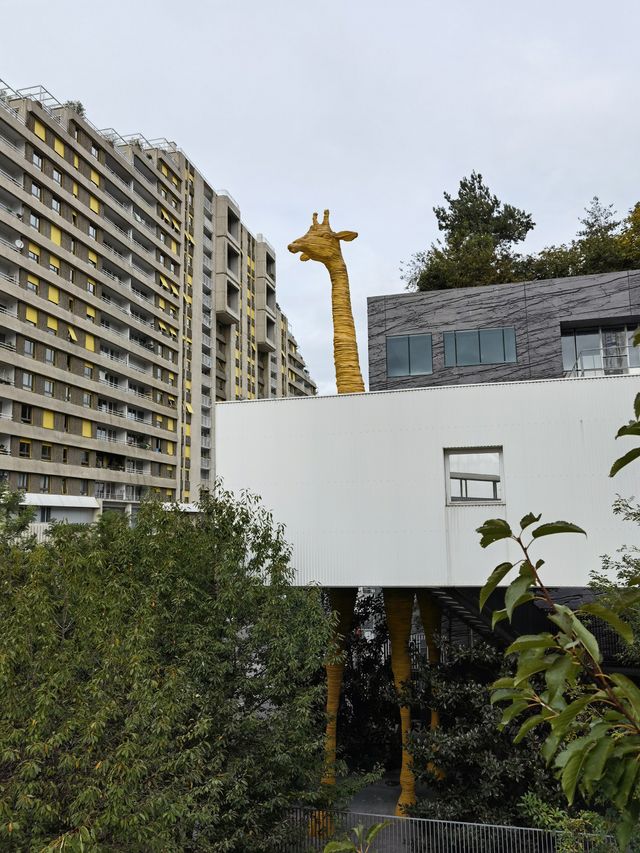 Фахівці DxOMark назвали новий найкращий камерофон на ринку - фото 431525