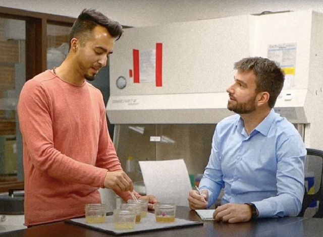 У США створили штучний мед, який практично не відрізняється від справжнього - фото 431541